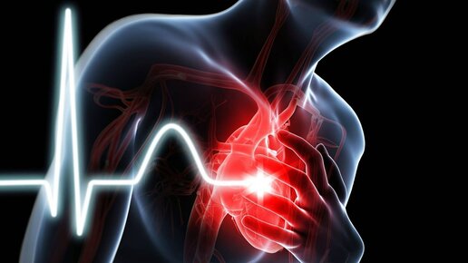 Картинка: Сердечная мышца всё-таки не восстанавливается