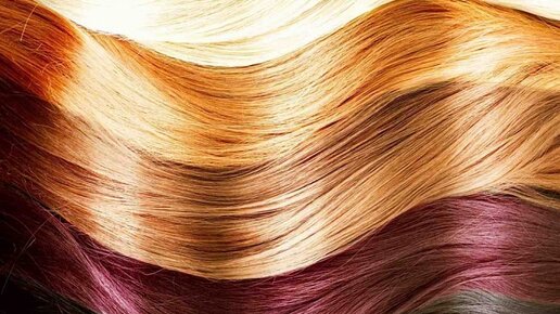Картинка: Ученые выяснили, от чего зависит наш цвет волос