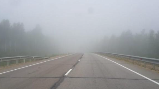 Картинка: Как обезопасить себя при вождении в тумане