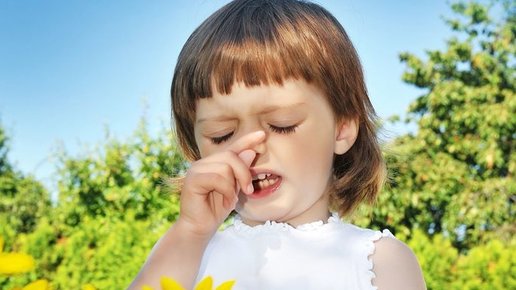 Картинка: Факты о пыльцевой аллергии