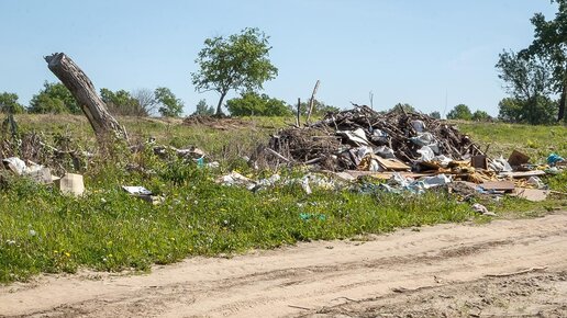 Картинка: На владимирских сельхозугодьях растут горы мусора