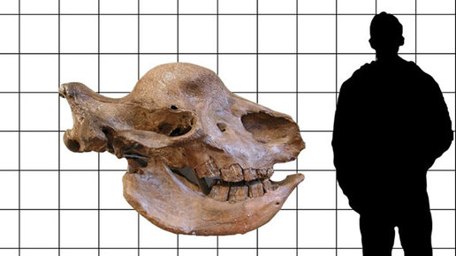 Картинка: Ученые: сибирские «единороги» не вымерли 200 тысяч лет назад