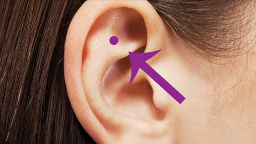 Картинка: Что произойдет, если массажировать эту точку