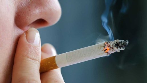 Картинка: Что безопаснее курить: сигареты, сигариллы, сигары или самокрутки? 