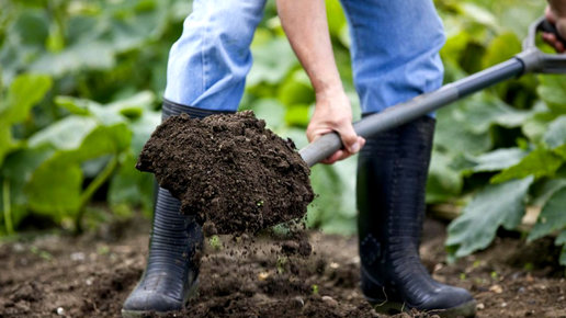Картинка: Правильная подготовка почвы в саду!