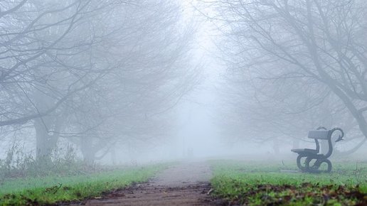 Картинка: Простые шаги, чтобы определить свою жизненную цель. 