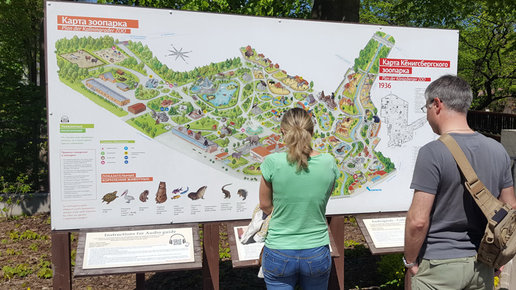 Картинка: Калининградский зоопарк признали лучшим в Европе, какова история тиргардена города Канта 