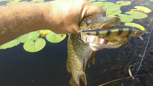 Картинка: Воблер на щуку Megabass Vision 110 ONETEN 11см 14гр