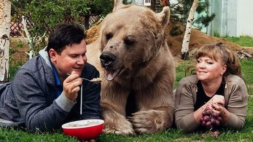 Картинка: Светлана, Юрий и медведь Степан. 25 лет вместе.