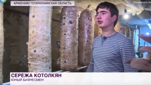 Картинка: Школьник из Армении построил бизнес на вешенках