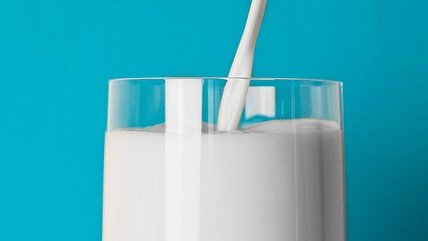 Картинка: Молоко в истории человечества и его влияние на здоровье