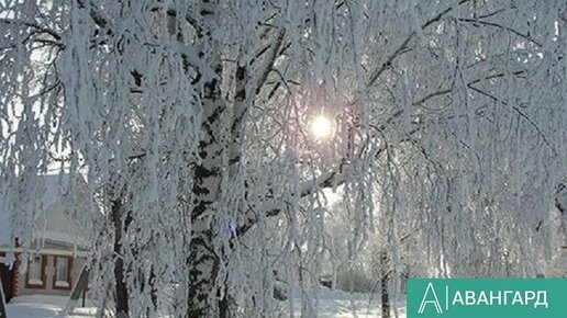 Картинка: В Татарстан придет сильное похолодание
