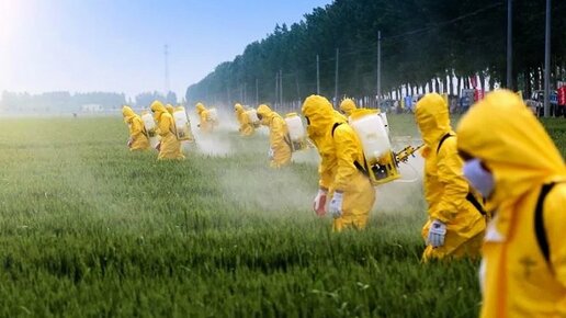 Картинка: Великобритания думает, как быть с пестицидами после брексита