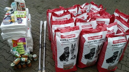Картинка: Дончане не сдаются: о поездке волонтеров 4 лапки за кормом