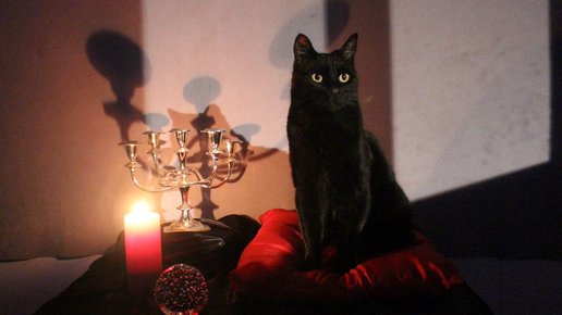 Картинка: Вышел трейлер нового сериала о юной ведьме Сабрине: в одной из главных ролей - чёрный кот