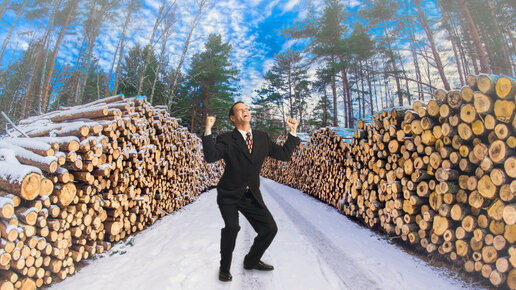 Картинка: Замглавы Советского района разъяснил жителям, почему дров не хватает на всех