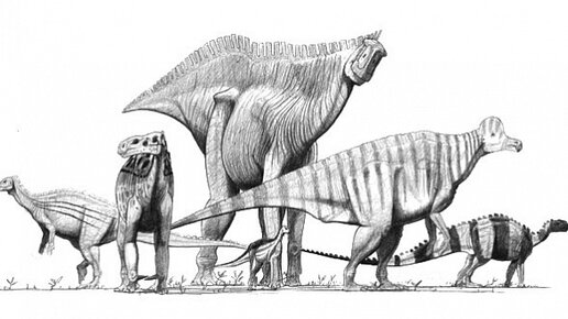 Картинка: В Австралии найдены останки динозавров, свидетельствующие о разнообразии орнитоподов