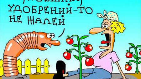 Картинка: Анекдоты про садоводов :)