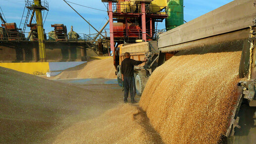 Картинка: Агрофонд «потерял» нескольких тысяч тонн зерна
