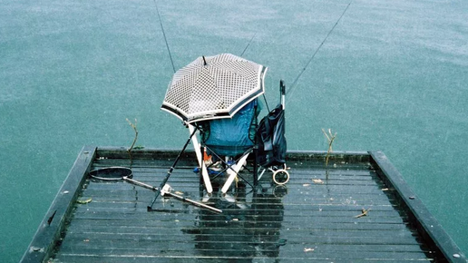 Картинка: Плюсы при ловле в дождливую погоду