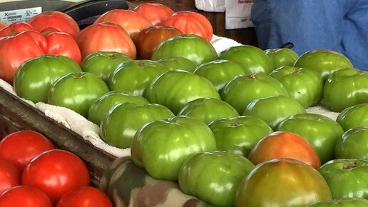 Картинка: Армянчики или куда деть зеленые помидоры