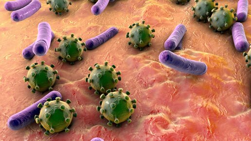 Картинка: На человеке живут миллиарды бактерий. Они ведут очень опасные разговоры