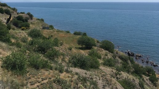 Картинка: Прогулявшись по крымскому пляжу, одесситка поделилась впечатлениями со своими соотечественниками
