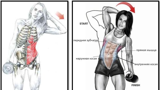 Картинка: Три эффективных упражнения, которые растопят жир на талии