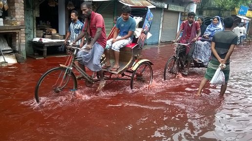 Картинка: Почему в Индии периодически идёт красный дождь