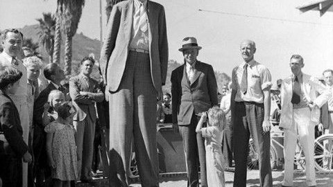 Картинка: Роберт Уодлоу - самый высокий человек на Земле