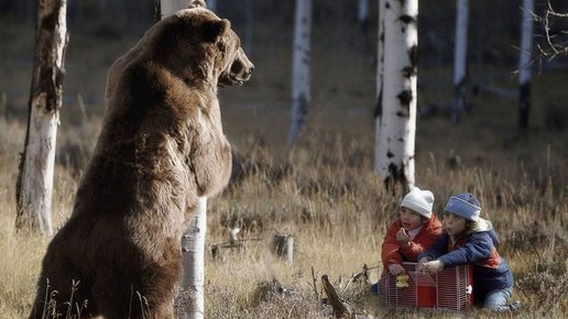 Картинка: Как воспитатель водила детей по следам медведя