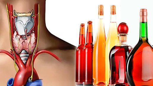 Картинка: Гипотиреоз и алкоголь: как спиртное влияет на эндокринную систему