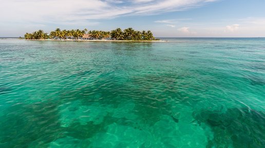 Картинка: 6 советов о том, как жить той жизнью, которой хочется