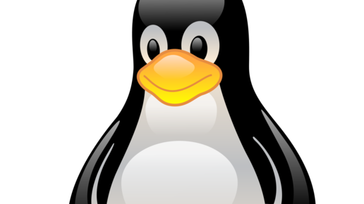 Картинка: Linux глазами новичка или подводные камни ОС.