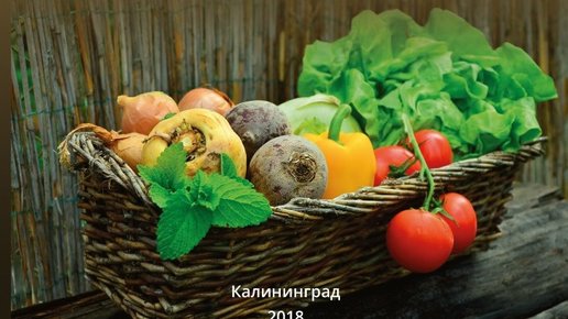 Картинка: Исследователи БФУ им. И. Канта выпустили монографию о растениеводстве в Калининградской области