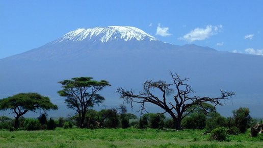 Картинка: Нелегальный Килиманджаро: как я оказался в танзанийской тюрьме. Часть вторая