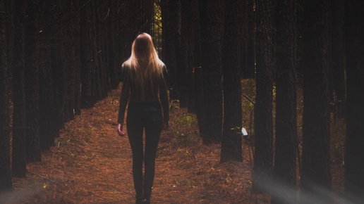 Картинка: Заказов бояться, на биржи фриланса не ходить.