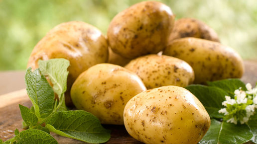 Картинка: Как правильно посадить картофель