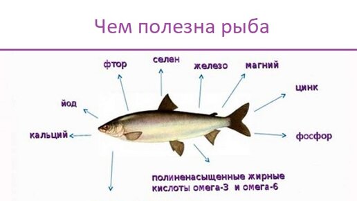 Картинка: Рыба - в чем польза для здоровья