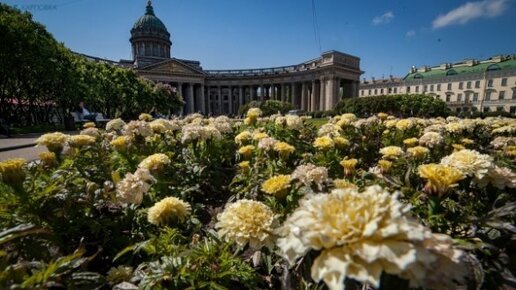 Картинка: Семь миллионов цветов посадят в Петербурге в 2019 году