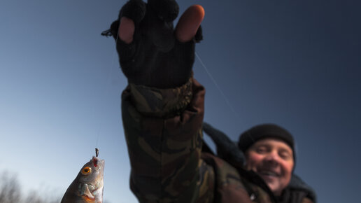 Картинка: Мормышка шарага – безмотылка для ловли хищников и крупной мирной рыбы