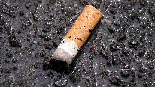 Картинка: Как узнать не начал ли курить, ваш ребенок