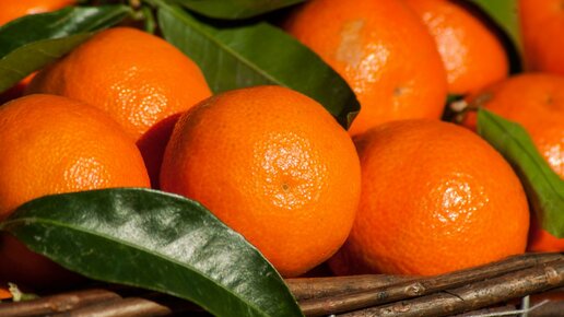 Картинка: Апельсин и мандарин - польза. Семь целебных свойств.