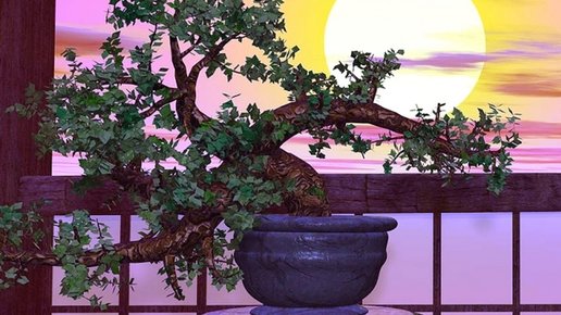 Картинка: Цвет по фэн-шуй