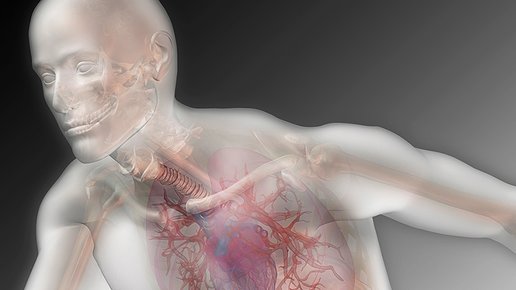 Картинка: «Мгновенный» 3D-сканер для тела преобразит медицину