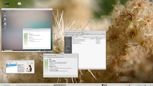 Картинка: Релиз Linux для дома v 22.3.2