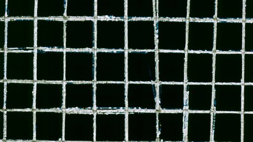 Картинка: Клетка