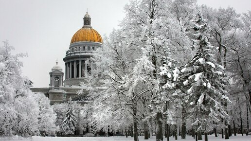 Картинка: Окутанный морозом: самые завораживающие места зимнего Санкт-Петербурга