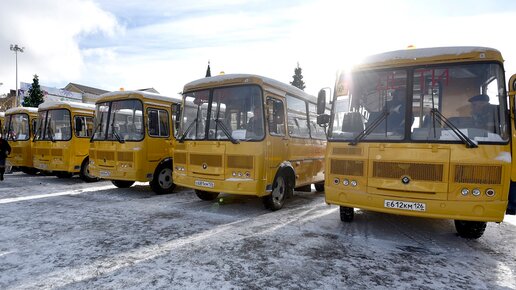 Картинка: Муниципалитеты Ставрополья получили 26 новых школьных автобусов